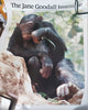 Baby Chimp - Jane Goodall, 1980s