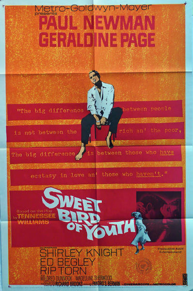 Sweet Bird of Youth, Paul Newman, Original Movie Poster  USA 1962